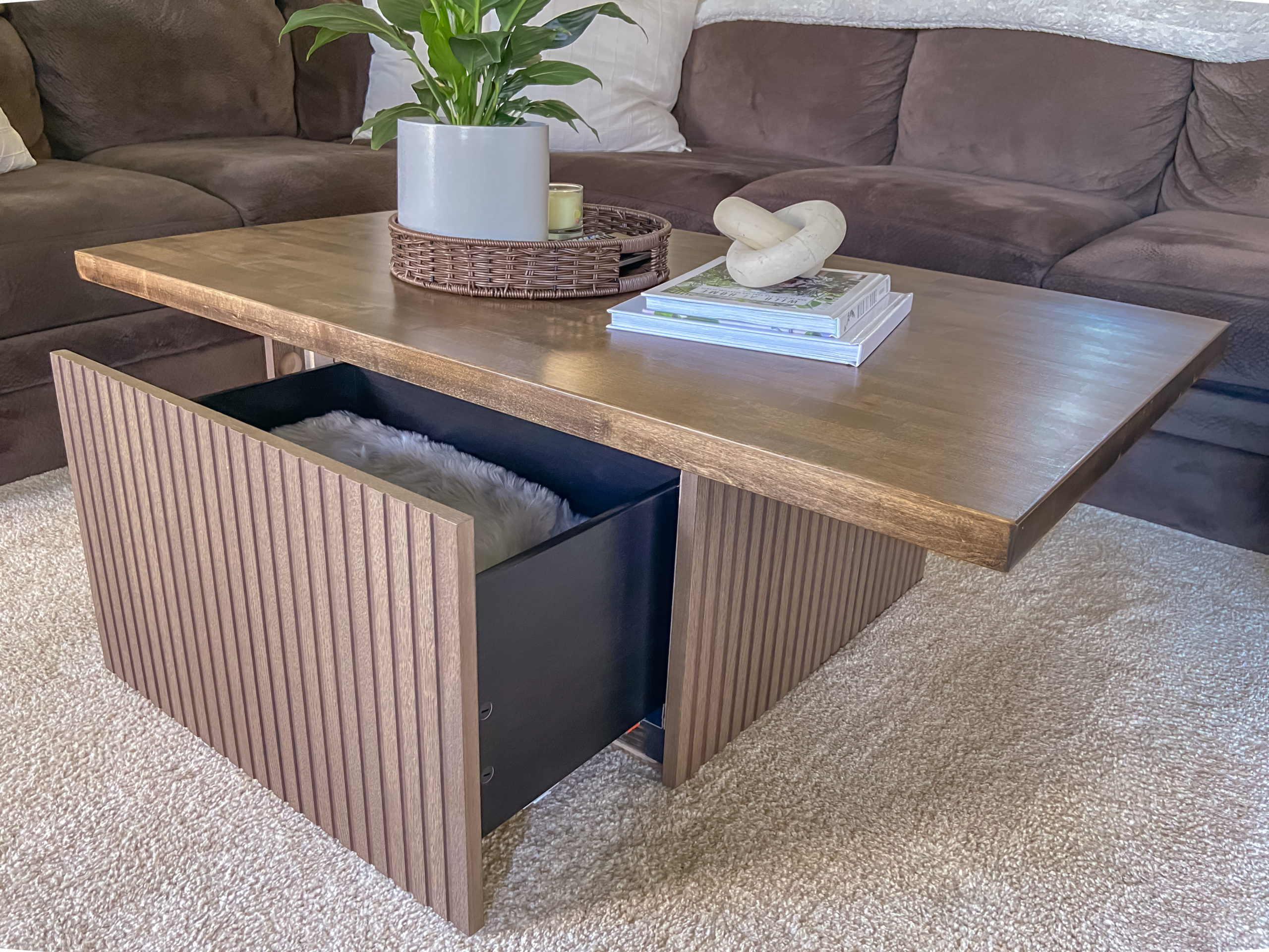 DIY Coffee Table WITH STORAGE! $27 build 